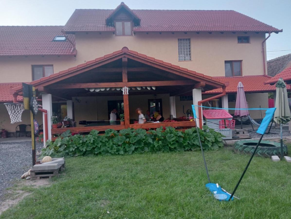 Casa Raisa & Maria Hotel Ocna Sibiului Exterior photo